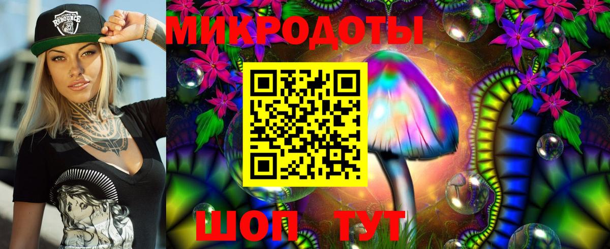Галлюциногенные грибы Psilocybine cubensis Жуковский